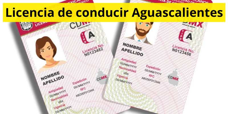 Licencia de conducir Aguascalientes