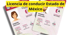Licencia de conducir Estado de México