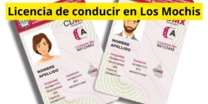 Licencia de conducir en Los Mochis