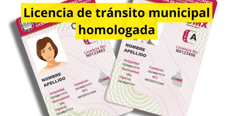 Licencia de tránsito municipal homologada