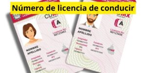 Número de licencia de conducir